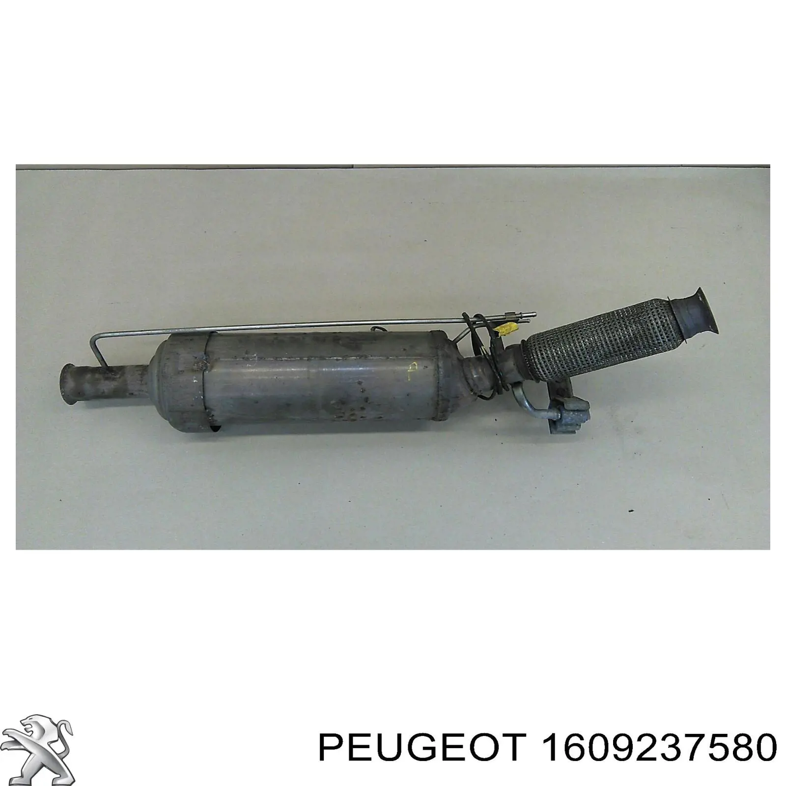 Купить 1609237580 Peugeot/Citroen Насос рулевого управления