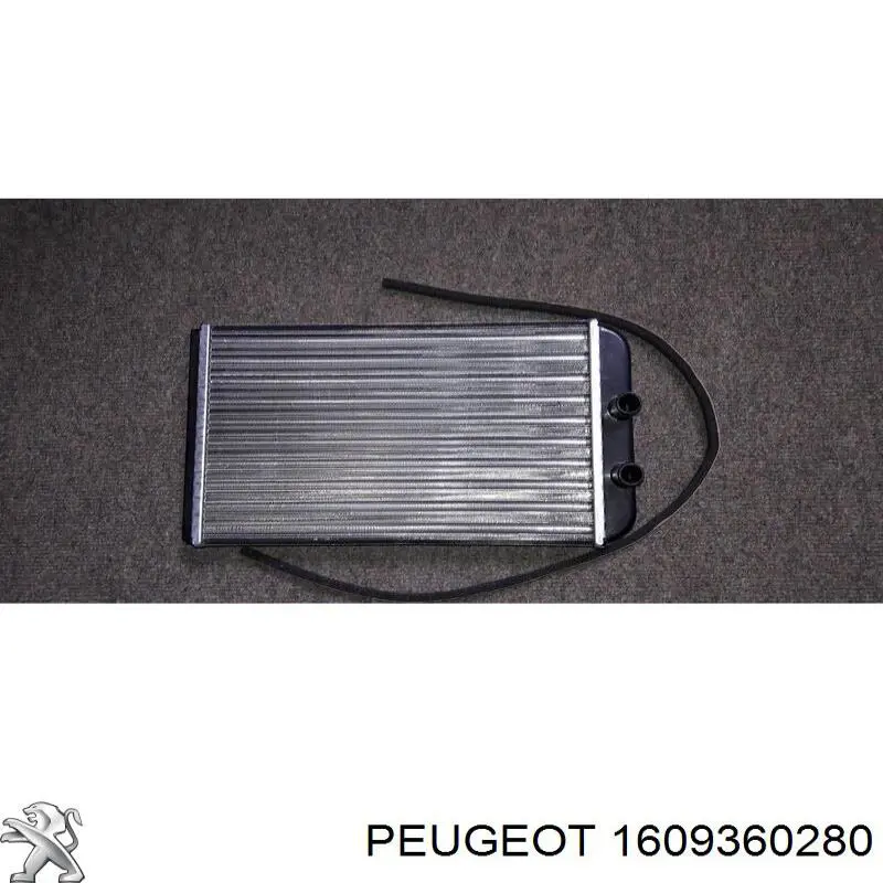  Peugeot/Citroen 1609360280