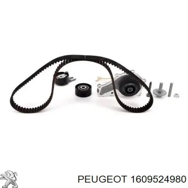 Комплект ГРМ 1609524980 Peugeot/Citroen