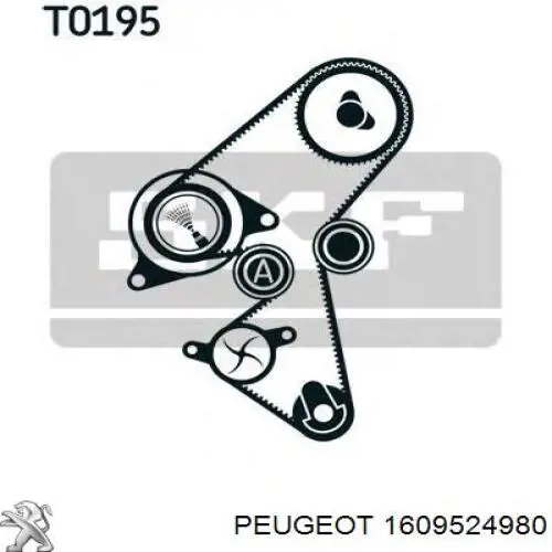 Ремень ГРМ, комплект Peugeot/Citroen 1609524980
