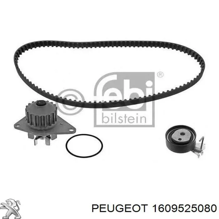 Kit correa de distribución 1609525080 Peugeot/Citroen