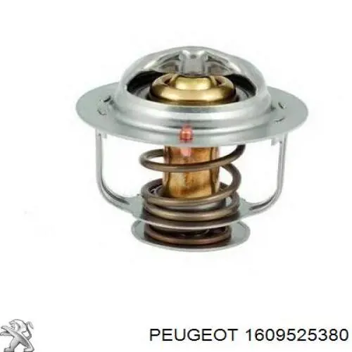 Комплект ГРМ 1609525380 Peugeot/Citroen