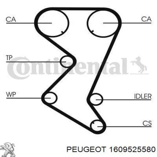 ГРМ ремни, комплект Peugeot/Citroen 1609525580 цена, от 154.68 USD