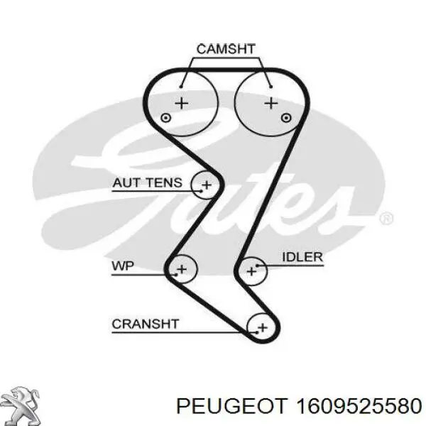 Купить 1609525580 Peugeot/Citroen Комплект ГРМ