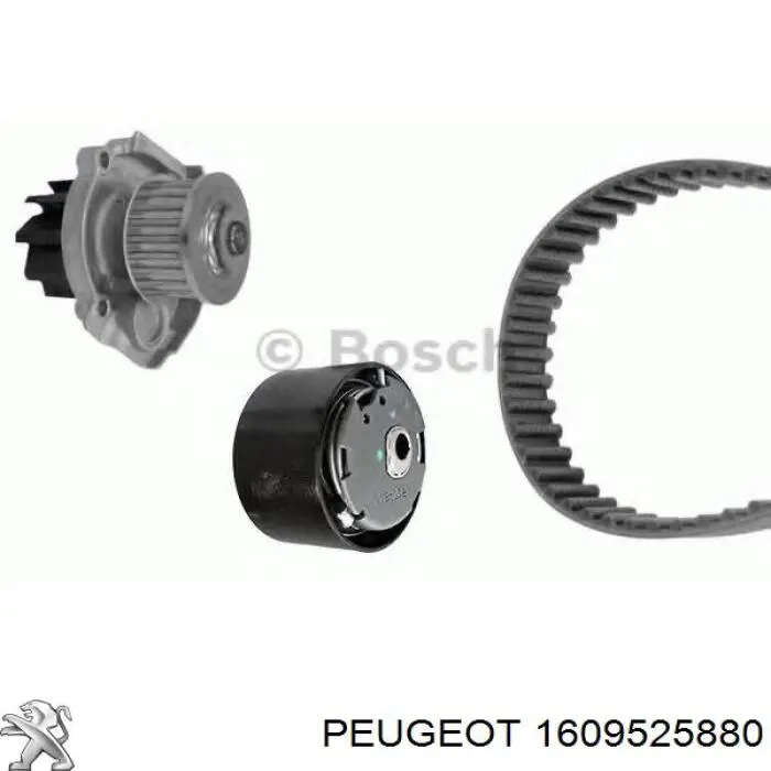 Ремень ГРМ, комплект Peugeot/Citroen 1609525880