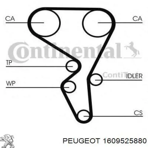 ГРМ ремни, комплект Peugeot/Citroen 1609525880 цена, от 95.62 USD