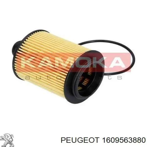 Купить 1609563880 Peugeot/Citroen Фильтр центробежный очистки масла