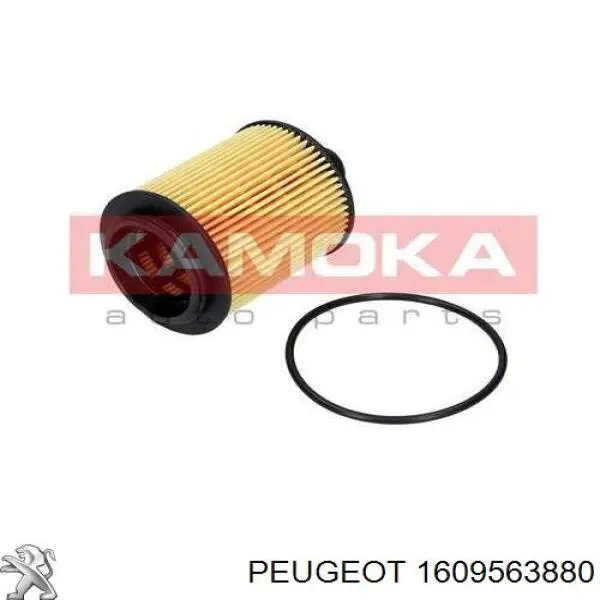 Фильтр очистки масла центробежный Peugeot/Citroen 1609563880 цена, от 14.12 USD