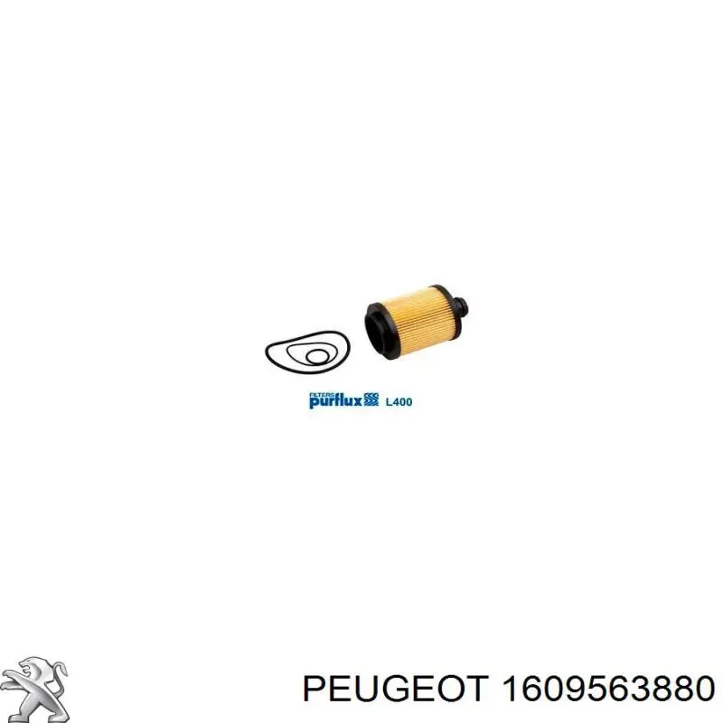Фильтр масла Peugeot/Citroen 1609563880
