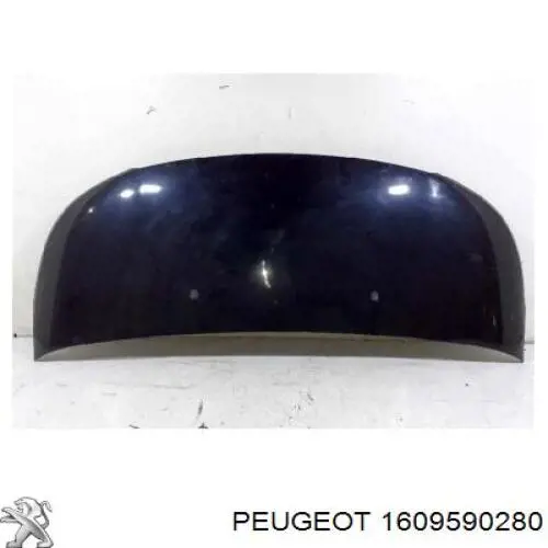 Купить 1609590280 Peugeot/Citroen 