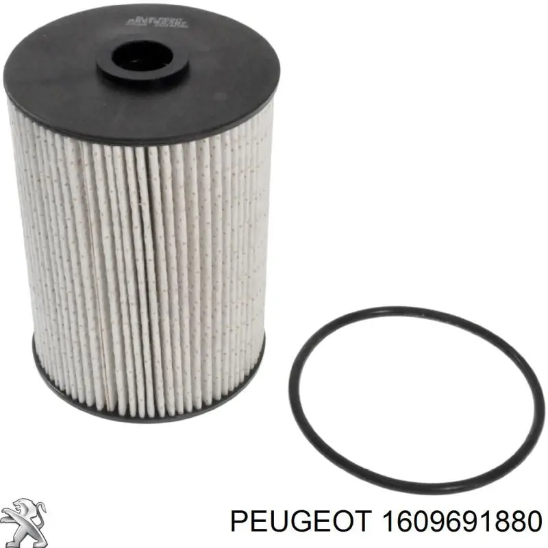 1609691880 Peugeot/Citroen топливный фильтр