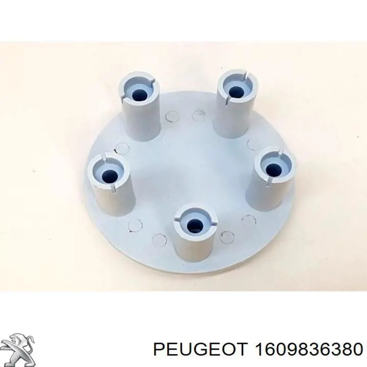 1609836380 Peugeot/Citroen 
