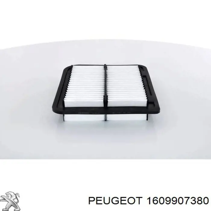 1609907380 Peugeot/Citroen Воздушный фильтр двигателя