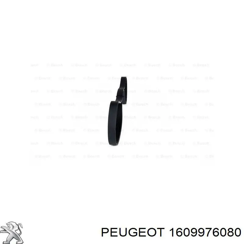 Купить 1609976080 Peugeot/Citroen 