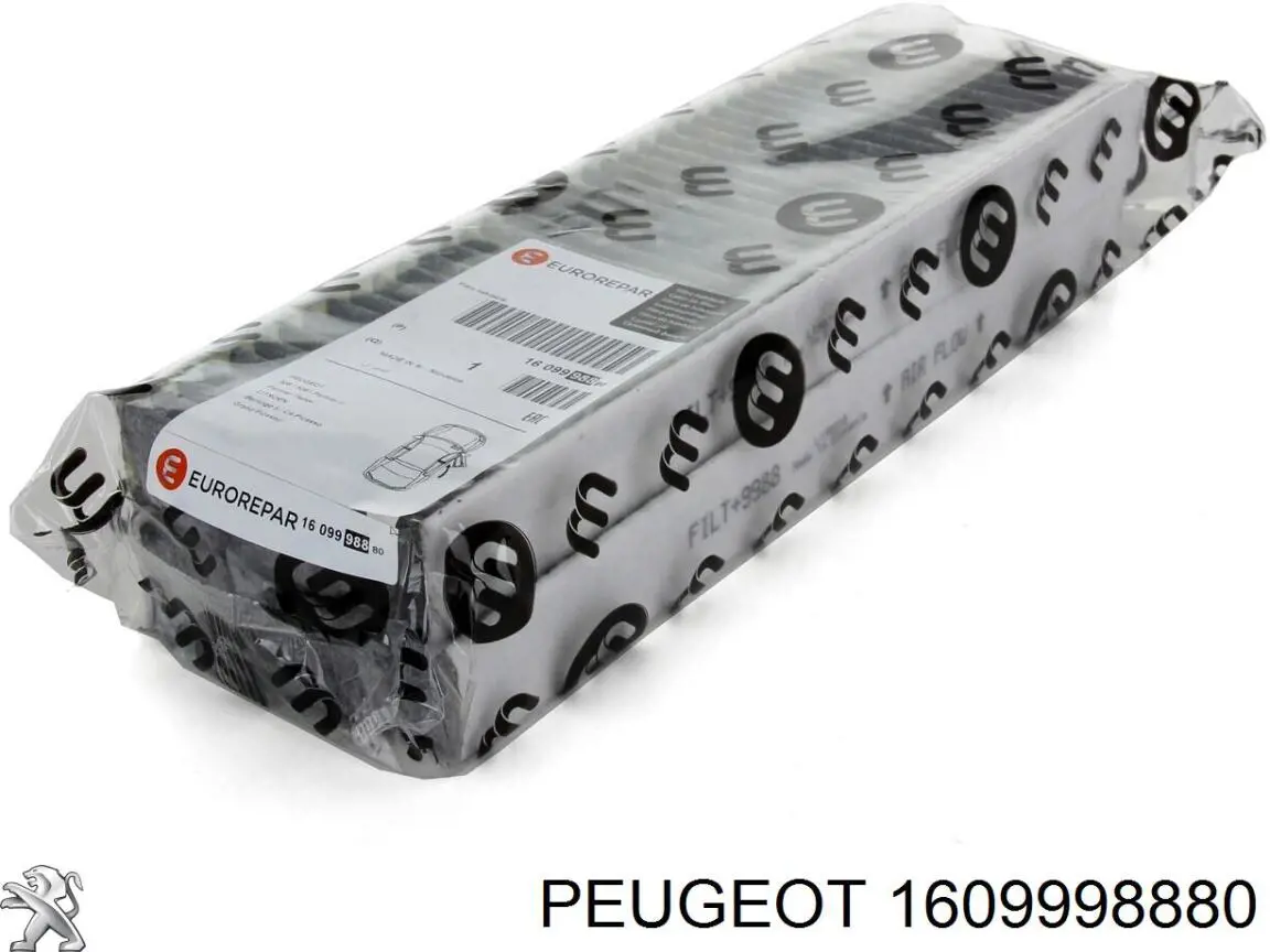 1609998880 Peugeot/Citroen фильтр салона