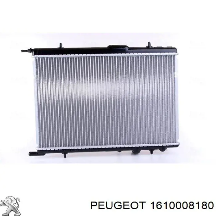 1610008180 Peugeot/Citroen