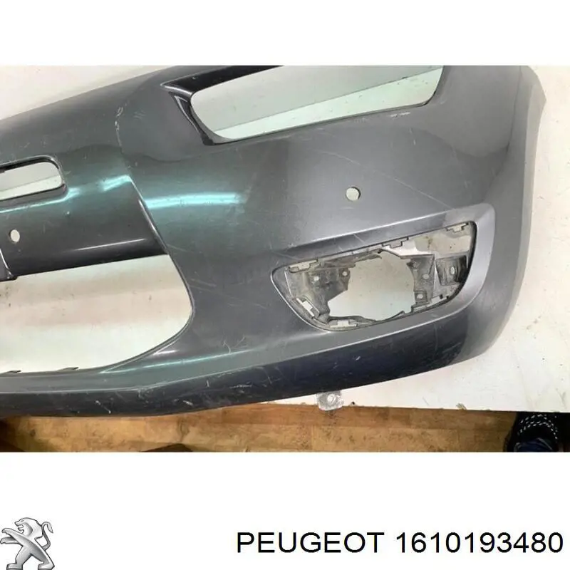  1610193480 Peugeot/Citroen