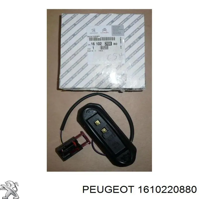 1610220880 Peugeot/Citroen датчик закрывания дверей (концевой выключатель)