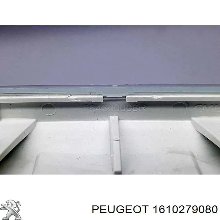 Купить 1610279080 Peugeot/Citroen 
