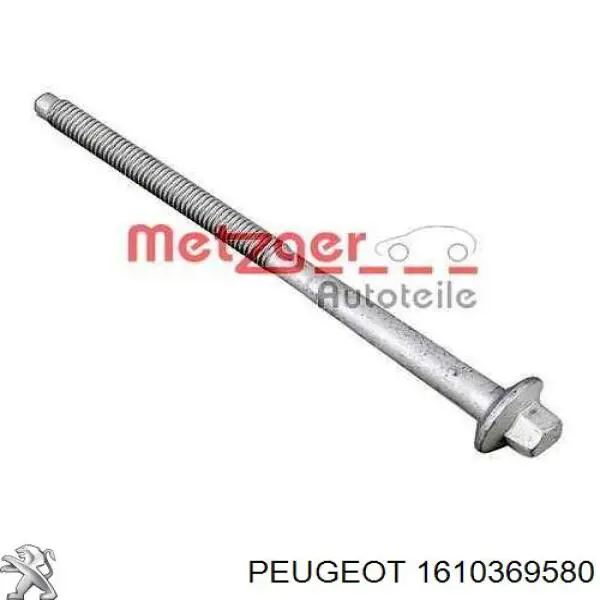 Болт крепления форсунки Peugeot/Citroen 1610369580 цена, от 2.93 USD