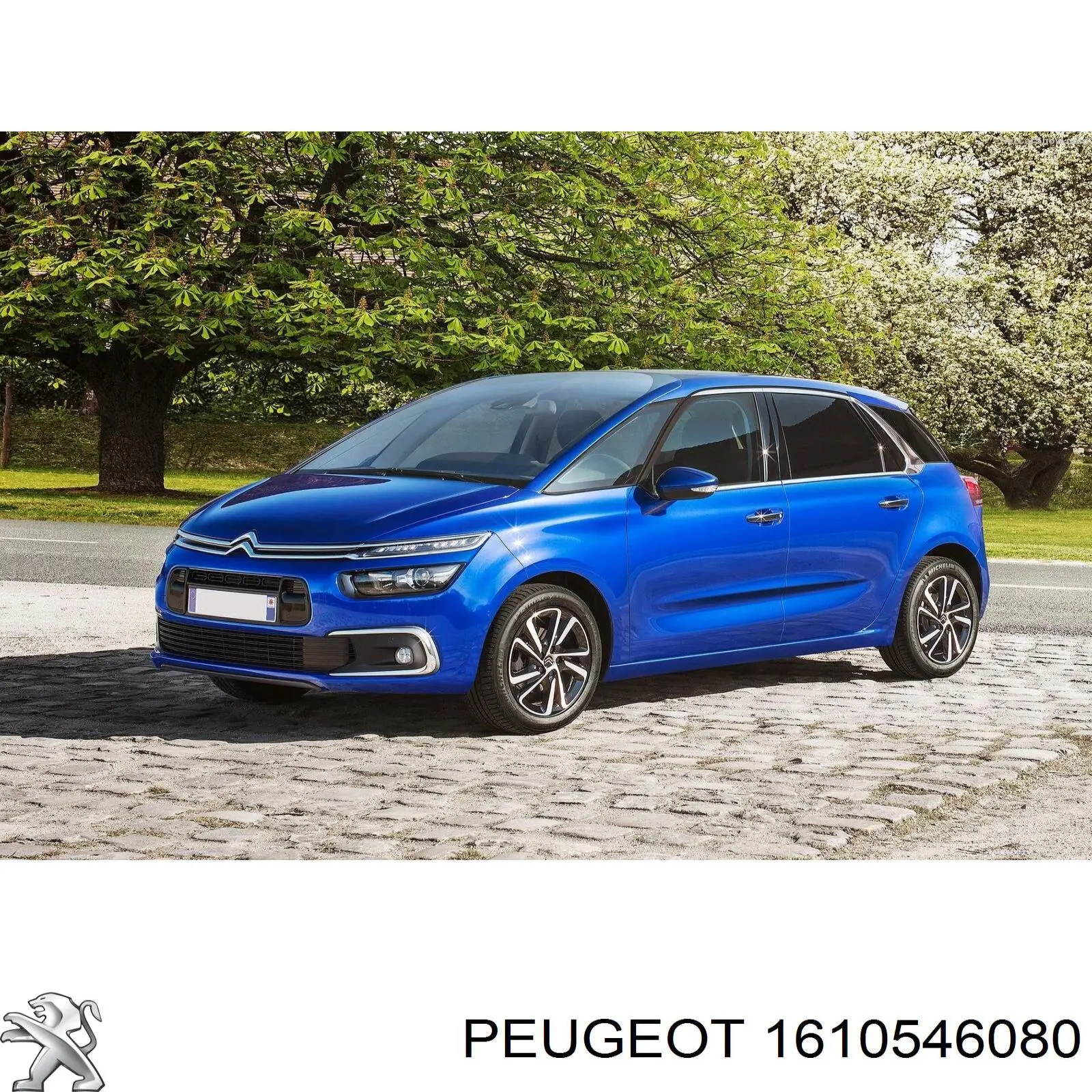 1610546080 Peugeot/Citroen 