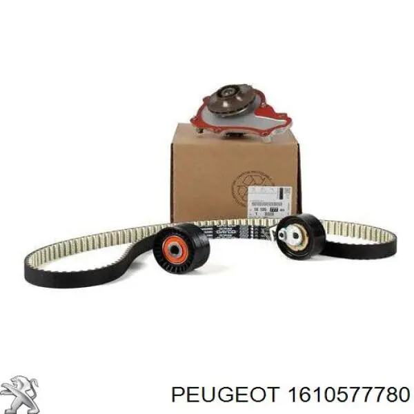 1610577780 Peugeot/Citroen correia do mecanismo de distribuição de gás, kit