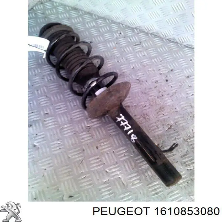 1610853080 Peugeot/Citroen 