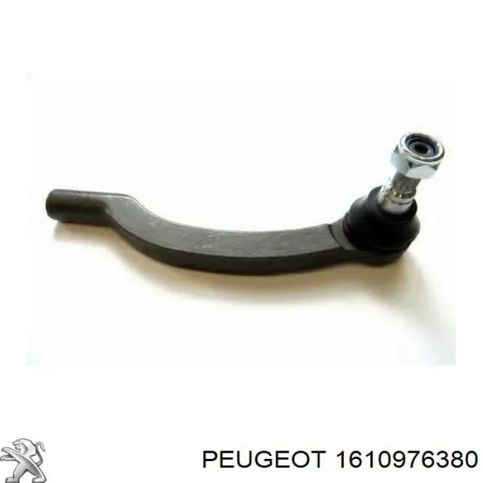 1610976380 Peugeot/Citroen