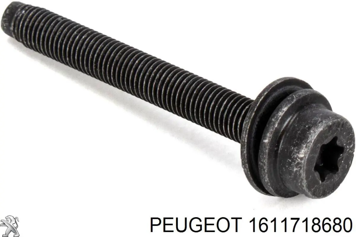1611718680 Peugeot/Citroen Kit de reparação do injetor