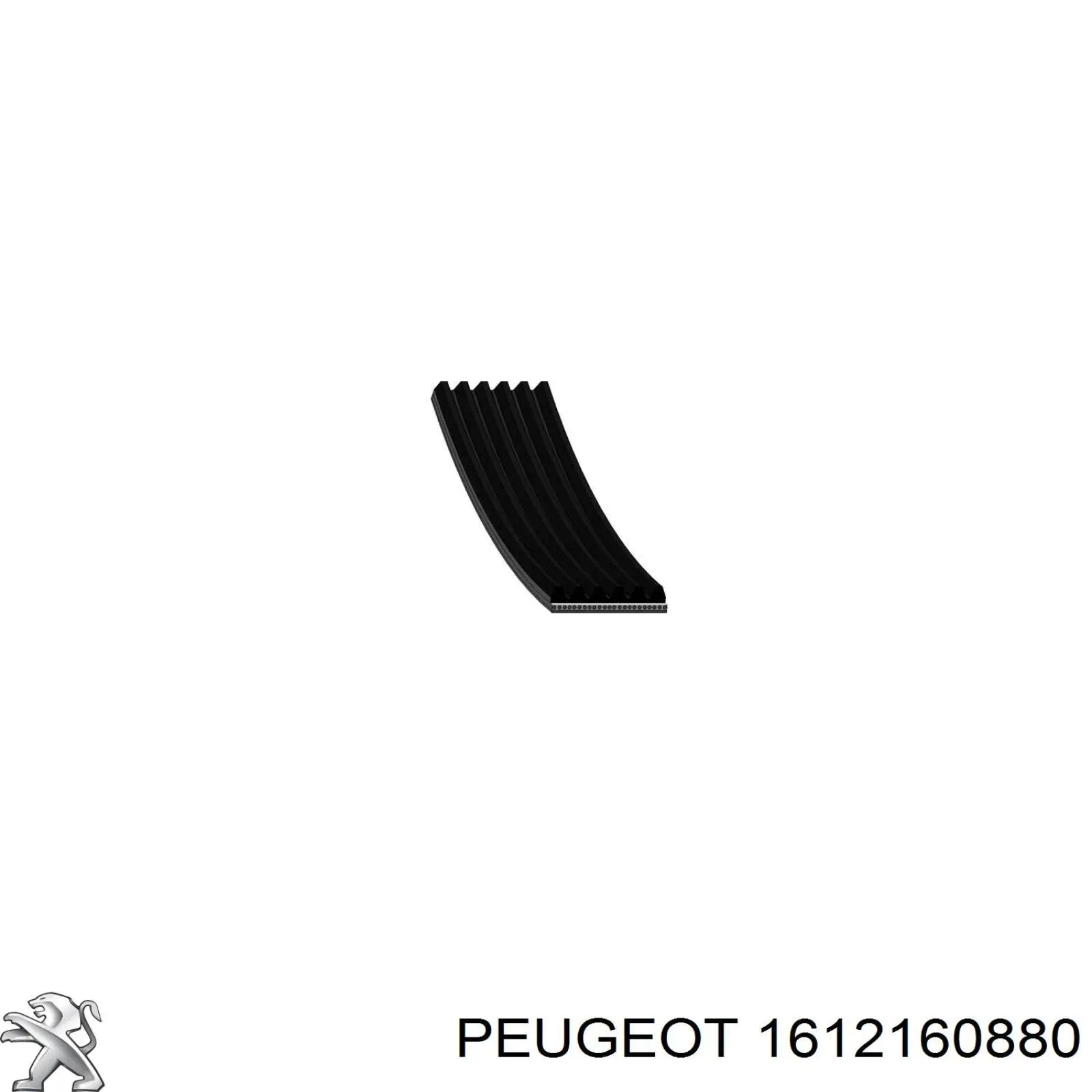 1612160880 PEUGEOT Correa de accesorios original y equivalente