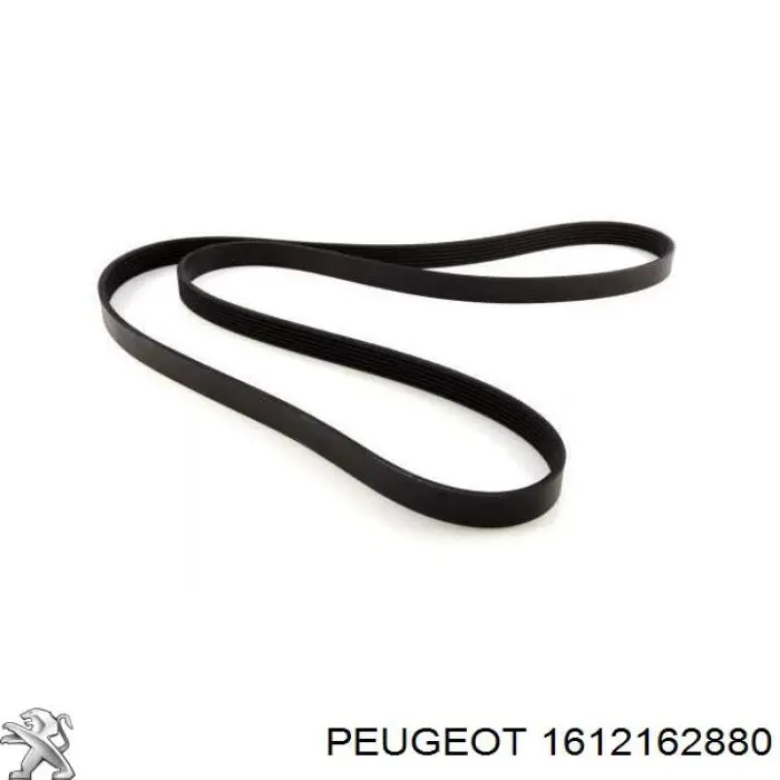 1612162880 Peugeot/Citroen Поликлиновый ремень
