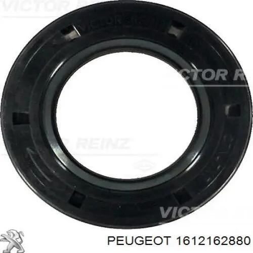 Купить 1612162880 Peugeot/Citroen Ремень генератора