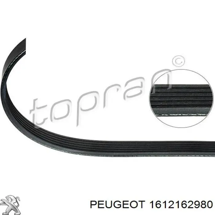1612162980 Peugeot/Citroen ремень генератора