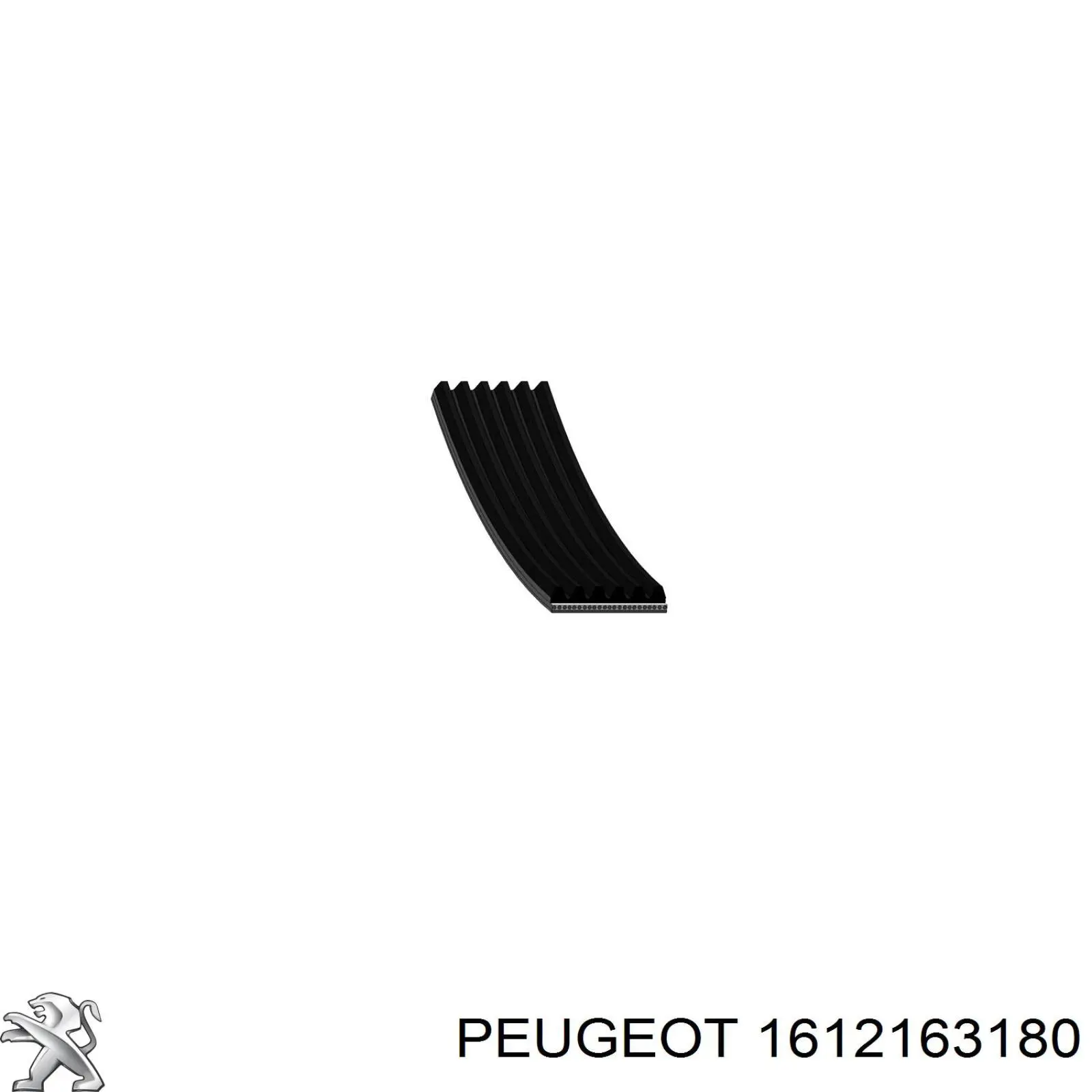 Correa trapezoidal 1612163180 Peugeot/Citroen