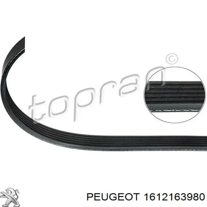 Correa trapezoidal 1612163980 Peugeot/Citroen