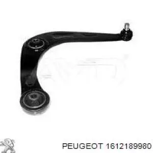 1612189980 Peugeot/Citroen 