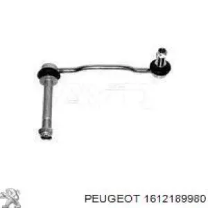  1612189980 Peugeot/Citroen