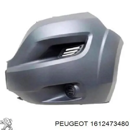 1612473480 Peugeot/Citroen pára-choque dianteiro, parte esquerda