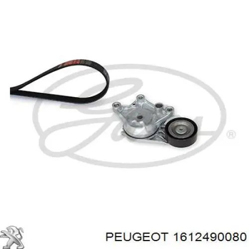 Ремень приводной 1612490080 Peugeot/Citroen