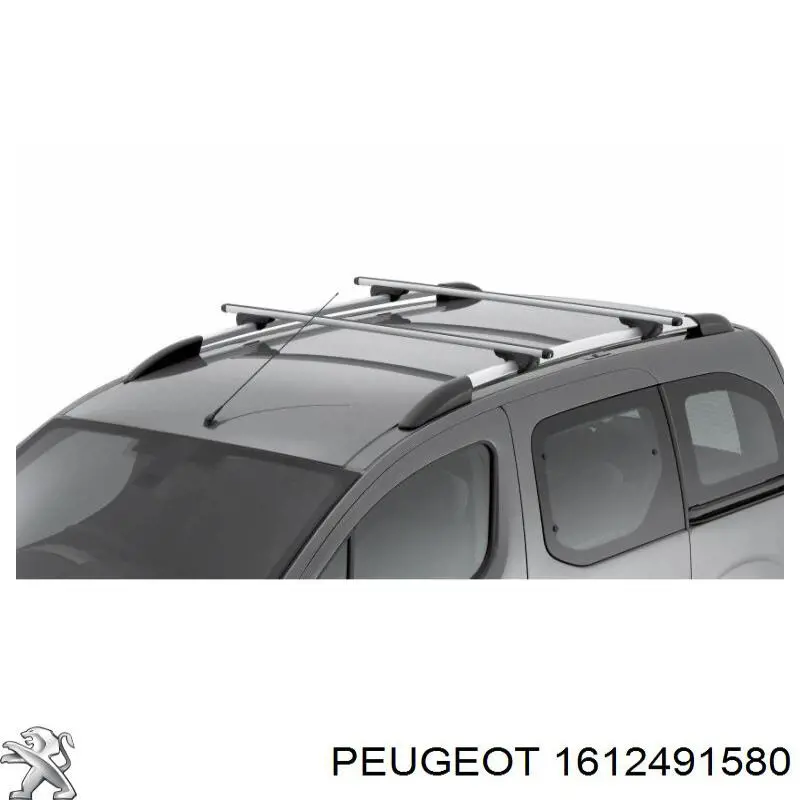  1612491580 Peugeot/Citroen