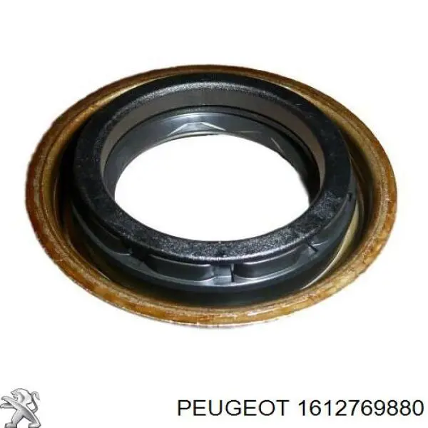 1612769880 Peugeot/Citroen