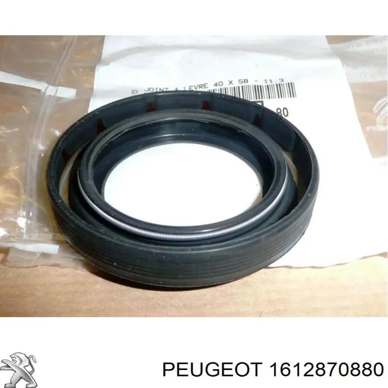  Tampa de tanque de fluido para lavador Citroen Jumper сaixa (250) (2006 - 2026) 