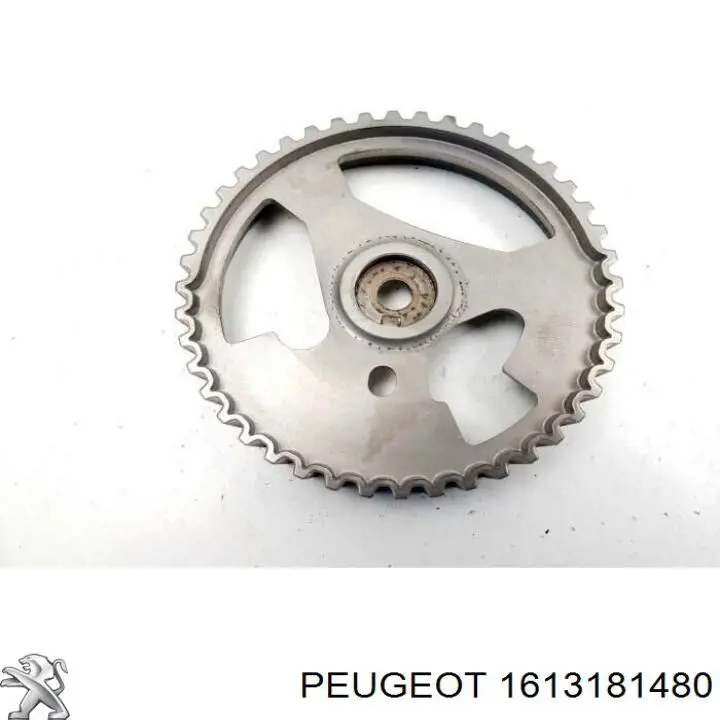 Engrenagem de cadeia da roda dentada da árvore distribuidora de motor para Citroen C3 AIRCROSS II 2R, 2C