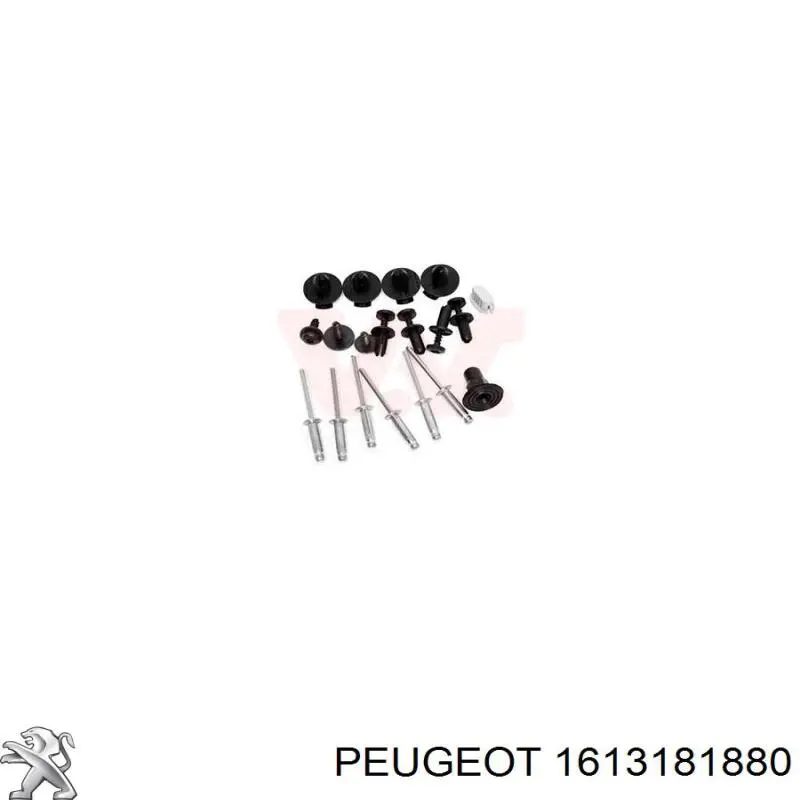 1613181880 Peugeot/Citroen 