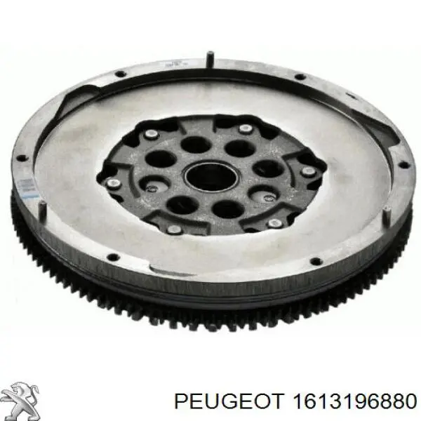 1613196880 Peugeot/Citroen 