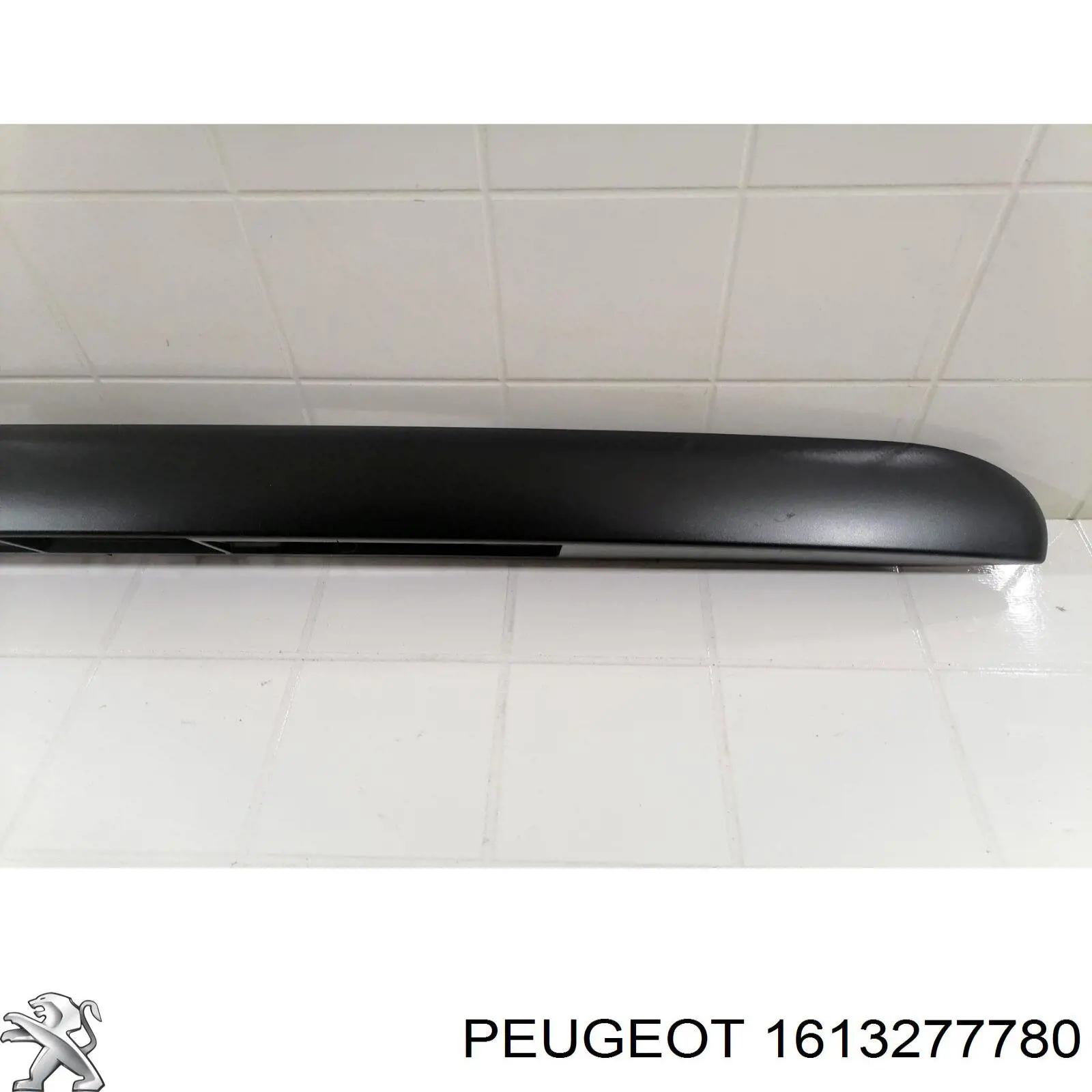 Накладка багажника (двери 3/5-й задней) Peugeot/Citroen 1613277780