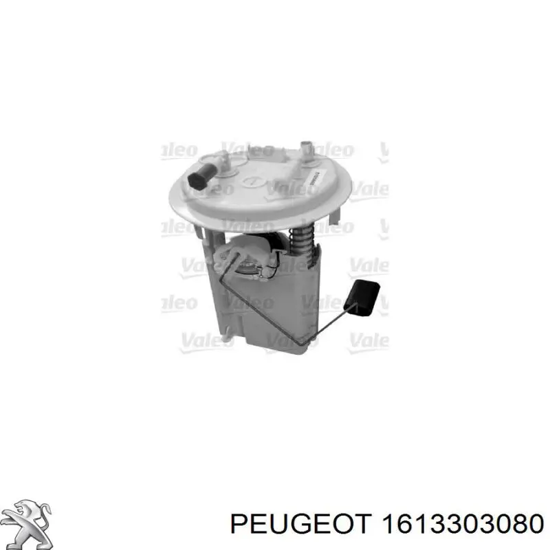 1613303080 Peugeot/Citroen бензонасос