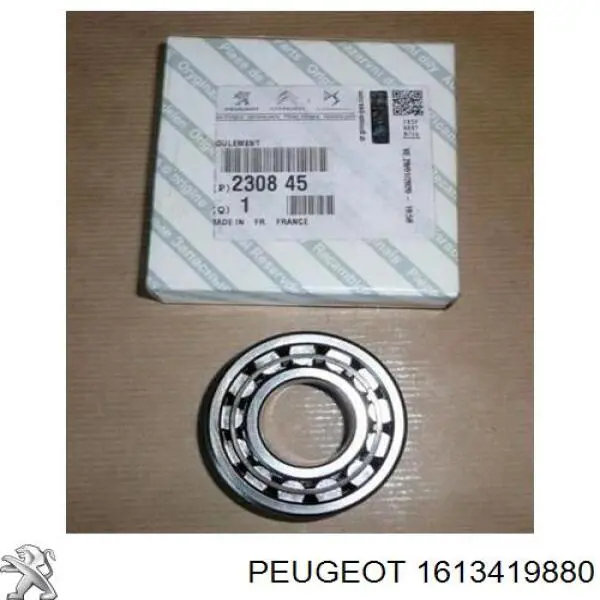 1613419880 Peugeot/Citroen 