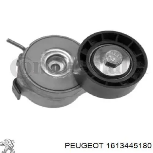 Ремень агрегатов приводной, комплект Peugeot/Citroen 1613445180 цена, от 75.19 USD