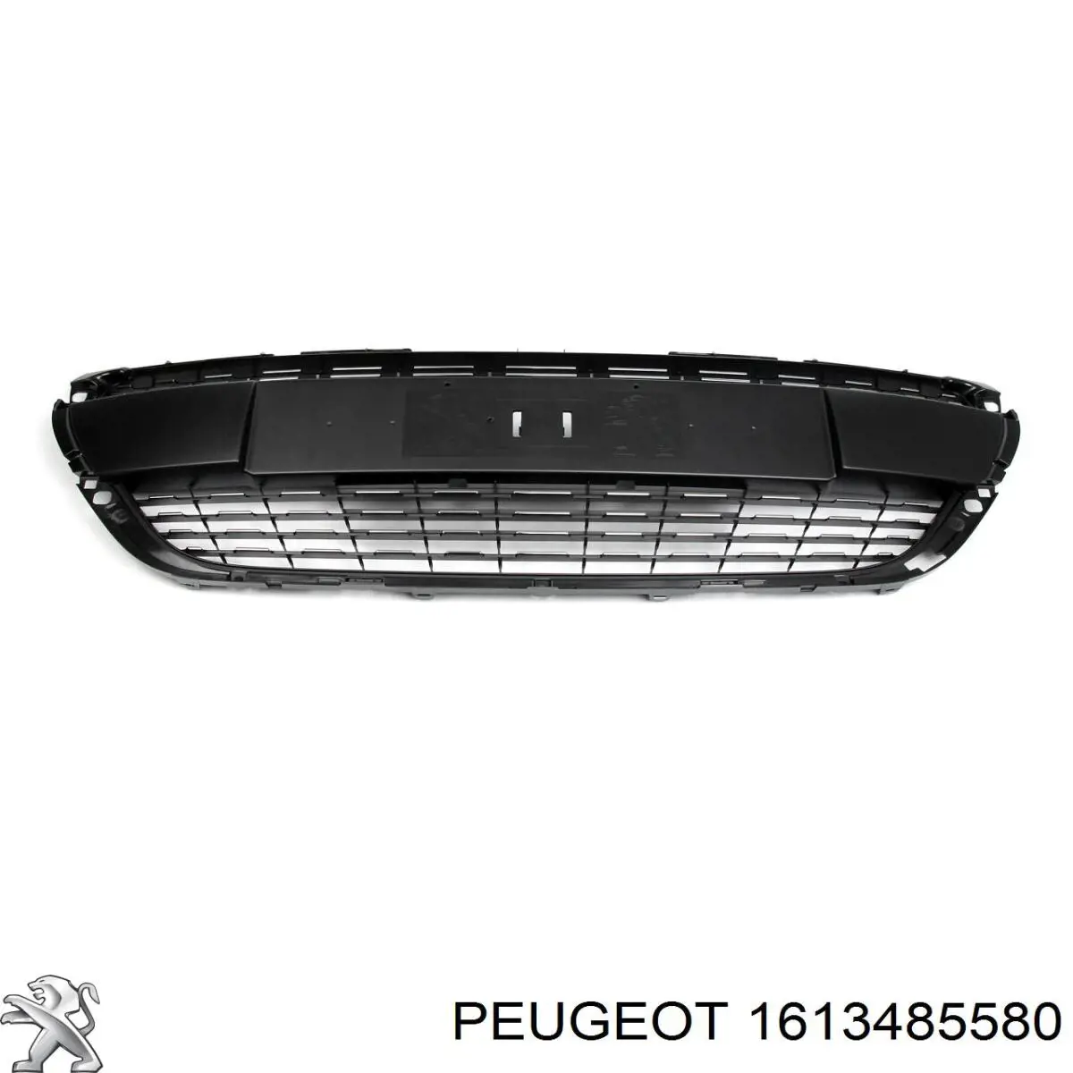  1613485580 Peugeot/Citroen